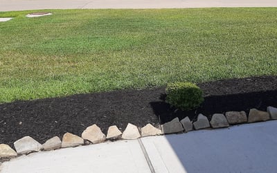 Photo of Jasmine D.'s yard after getting landscaping in Barker, TX