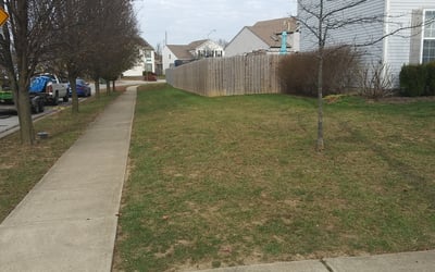 Photo of Dan V.'s yard after getting landscaping in Ashville, OH