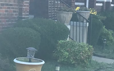 Photo of Gregory M.'s yard after getting landscaping in East Saint Louis, IL