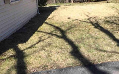 Photo of Nancy T.'s yard after getting landscaping in Southbridge, MA