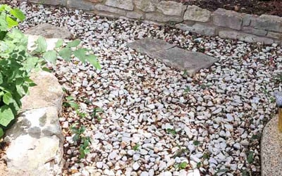 Photo of Rebecca G.'s yard after getting landscaping in Thrall, TX