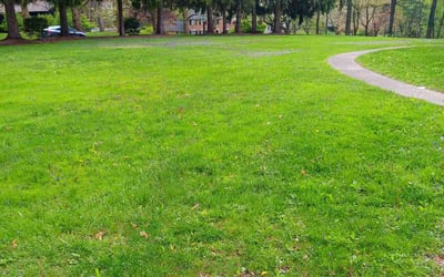 Photo of Daniel T.'s yard after getting landscaping in Uniontown, PA