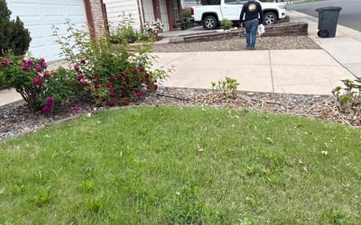 Photo of Kathy H.'s yard after getting landscaping in Aurora, CO