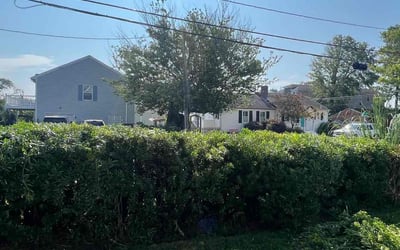 Photo of Chad D.'s yard after getting landscaping in Severn, VA
