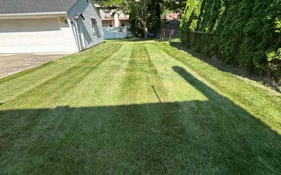 Photo of norvell C.'s yard after getting tree care in Sterling Heights, MI