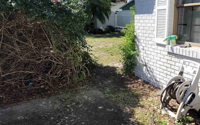 Photo of Simone S.'s yard after getting tree care in Auburndale, FL