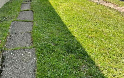 Photo of Tiffany M.'s yard after getting landscaping in Bryantown, MD