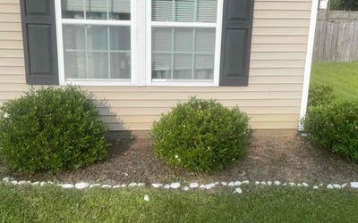 Photo of Michael D.'s yard after getting landscaping in Blythewood, SC