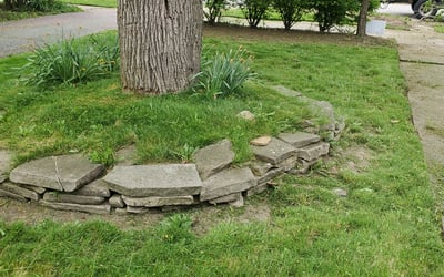 Photo of Tony J.'s yard after getting landscaping in Sheffield Lake, OH
