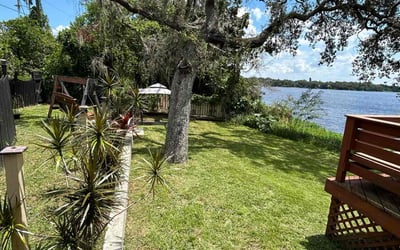 Photo of Bill D.'s yard after getting landscaping in Dover, FL