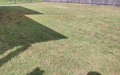 Photo of Michelle M.'s yard after getting landscaping in Oklahoma City, OK