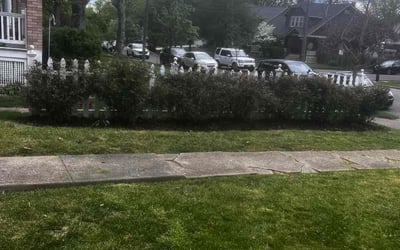 Photo of Stephanie B.'s yard after getting landscaping in Petersburg, KY