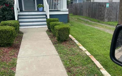 Photo of Madison H.'s yard after getting landscaping in Little Rock, AR