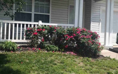 Photo of Jessica W.'s yard after getting landscaping in Elkhorn, NE