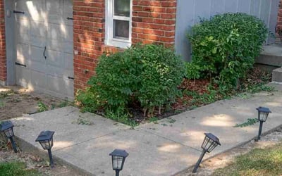 Photo of Gerald B.'s yard after getting landscaping in Linwood, KS