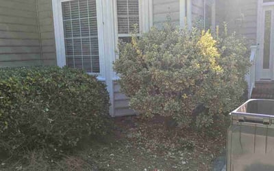 Photo of Jim M.'s yard after getting landscaping in Greensboro, NC