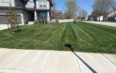 Photo of Shernette H.'s yard after getting lawn care in Shawnee, KS