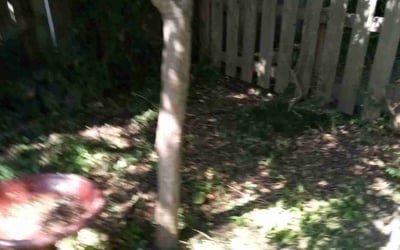 Photo of Gregory M.'s yard after getting landscaping in Brighton, TN