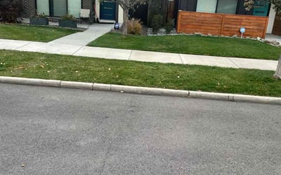 Photo of Debania C.'s yard after getting tree care in Wheat Ridge, CO