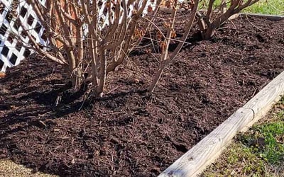 Photo of Jeff R.'s yard after getting landscaping in Rockville, VA