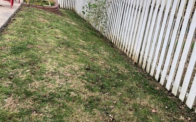 Photo of Karen W.'s yard after getting landscaping in Odessa, MO