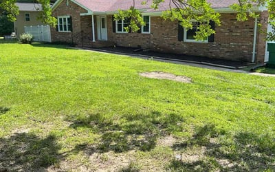 Photo of Robin M.'s yard after getting landscaping in Williamsburg, VA