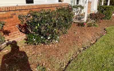 Photo of Susan W.'s yard after getting landscaping in Poplar Branch, NC