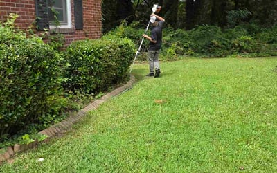 Photo of Kathy C.'s yard after getting landscaping in Greenville, SC