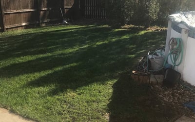 Photo of Paul J.'s yard after getting landscaping in Bartlett, IL