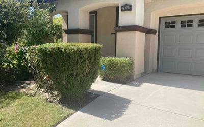 Photo of Michael M.'s yard after getting landscaping in Lake Elsinore, CA