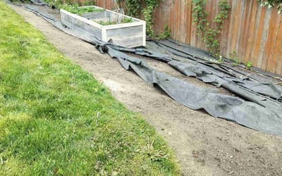 Photo of Molly M.'s yard after getting landscaping in Stanwood, WA