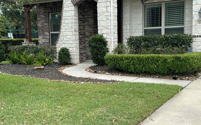 Photo of David T.'s yard after getting landscaping in Wallis, TX