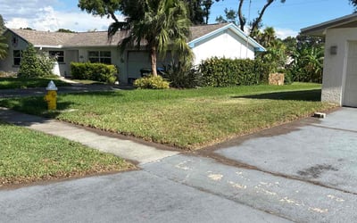 Photo of Michael L.'s yard after getting landscaping in Clearwater, FL