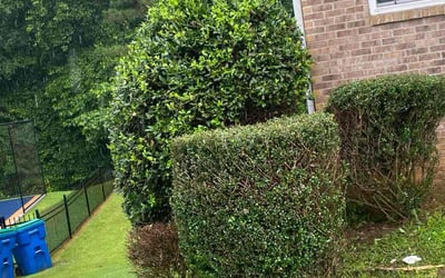 Photo of Michael H.'s yard after getting landscaping in Fairburn, GA
