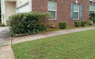Photo of Dee R.'s yard after getting landscaping in Ellenwood, GA