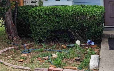 Photo of Jason G.'s yard after getting landscaping in Fort Worth, TX