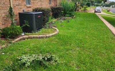Photo of Rosalyn W.'s yard after getting landscaping in Colleyville, TX