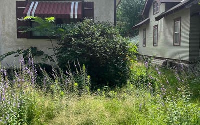 Photo of Joe P.'s yard after getting landscaping in Minneapolis, MN