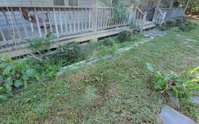 Photo of Barbara S.'s yard after getting landscaping in Mc Kenney, VA