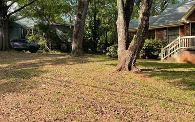 Photo of Brett S.'s yard after getting landscaping in Hillsboro, GA