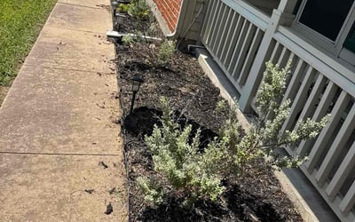 Photo of Tina A.'s yard after getting tree care in Seagoville, TX
