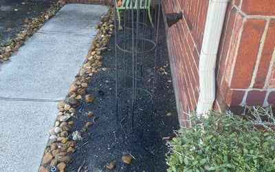 Photo of Christopher I.'s yard after getting landscaping in Raywood, TX