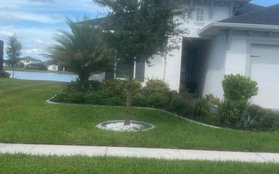 Photo of Jose P.'s yard after getting lawn care in Daytona Beach, FL