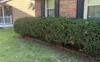 Photo of Mindy G.'s yard after getting landscaping in Kidder, MO
