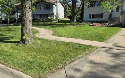 Photo of George L.'s yard after getting lawn care in Schaumburg, IL