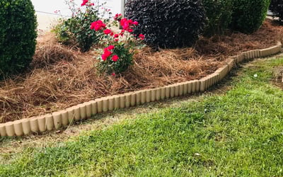 Photo of Marcus S.'s yard after getting landscaping in Mount Ulla, NC