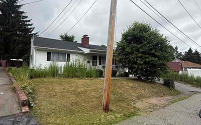 Photo of Carol R.'s yard after getting landscaping in Pittstown, NJ
