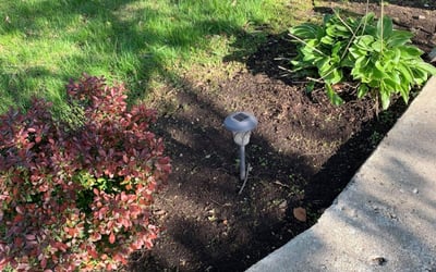 Photo of Eric L.'s yard after getting landscaping in Monee, IL