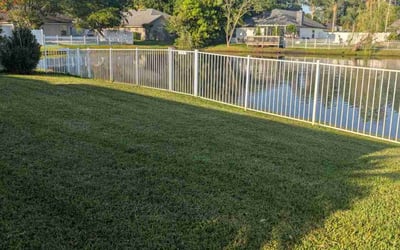 Photo of Katherine R.'s yard after getting lawn care in Jacksonville, FL