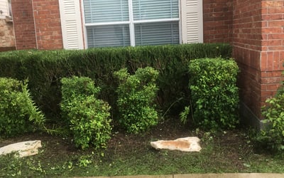 Photo of Chris J.'s yard after getting landscaping in Harwood, TX